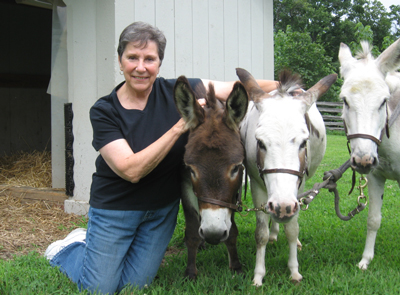 cynthia-marthasdonkeys.jpg cynthia-marthasdonkeys.jpg